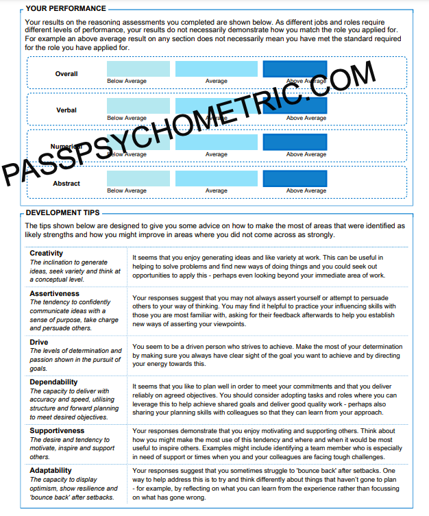 Cubiks Logiks Psychometric Test Report