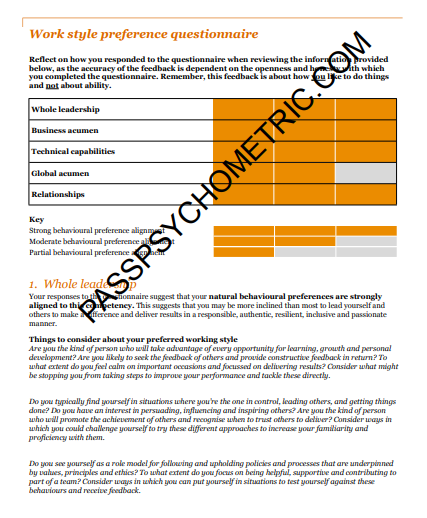 SHL (CEB) PwC Answers Aligned Work style preference Feedback Report